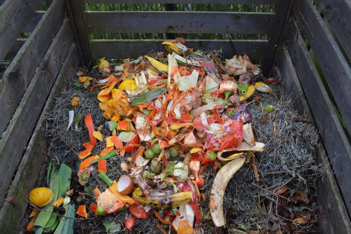 Composteur de jardin ou lombricomposteur : comment choisir