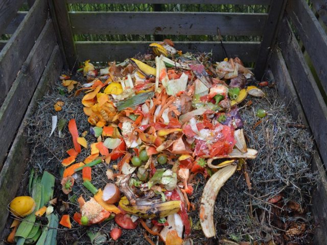 Composteur de jardin ou lombricomposteur : comment choisir