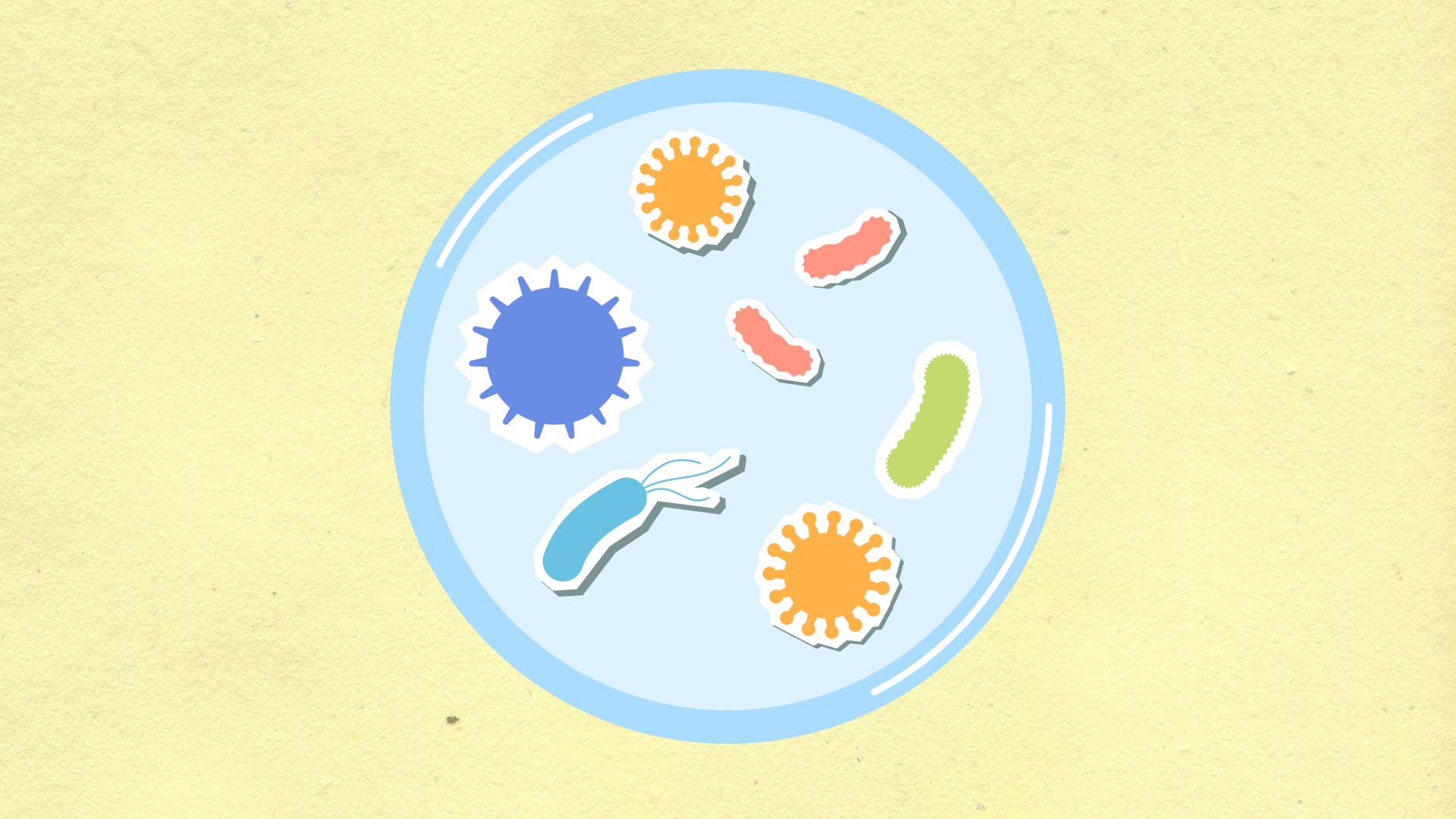 Sepsis en France : l'augmentation alarmante des décès vous concerne
